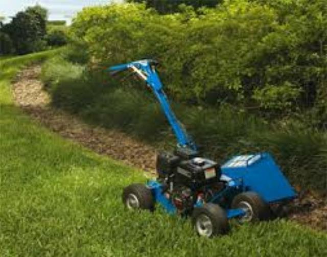 Where to find EDGER or CABLE LAYER , BLUEBIRD BB650 in Falmouth